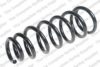 ROC CS8056 Coil Spring